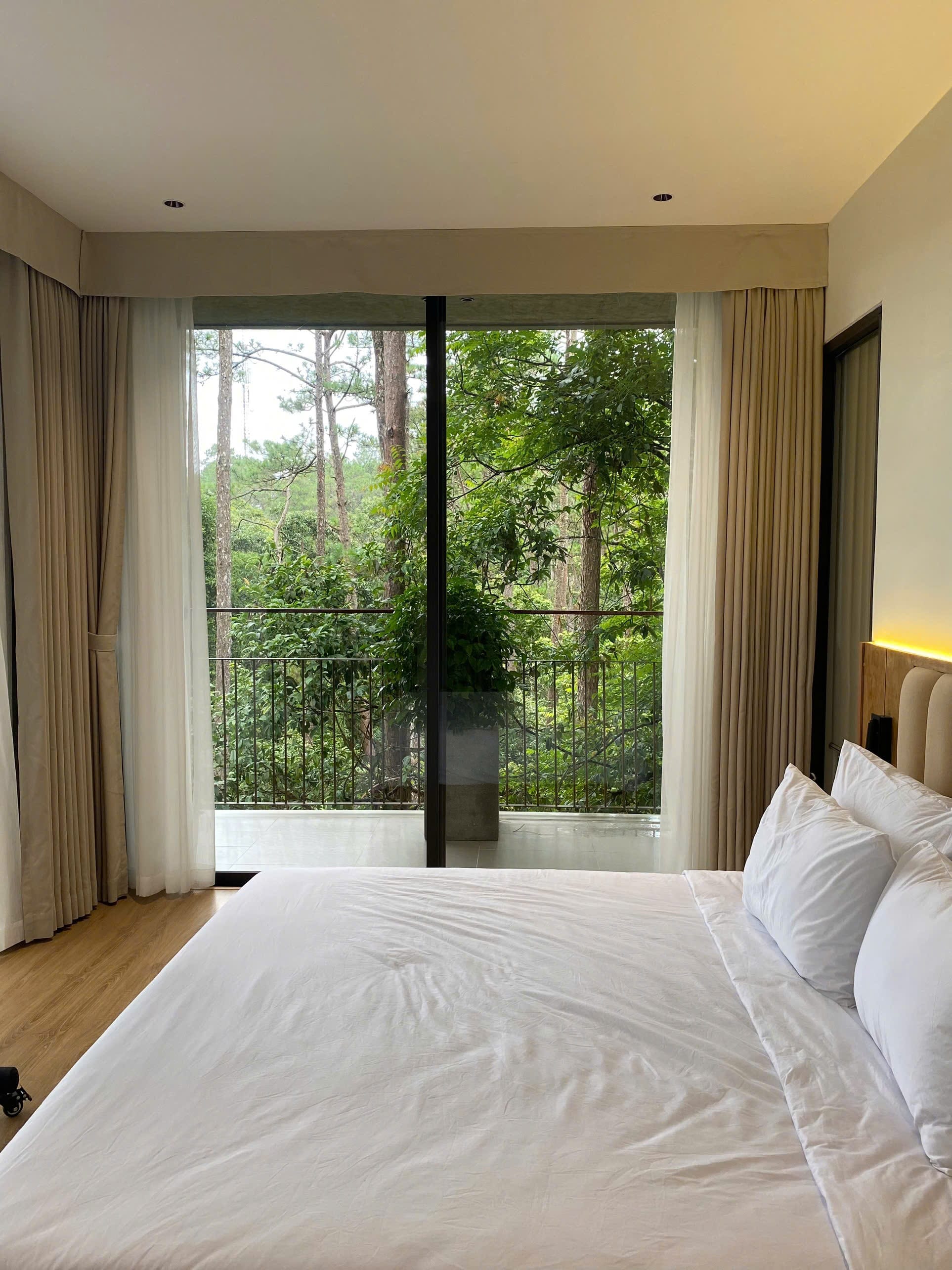 Phòng 206 - Phòng Hướng Rừng Victoria - View 1