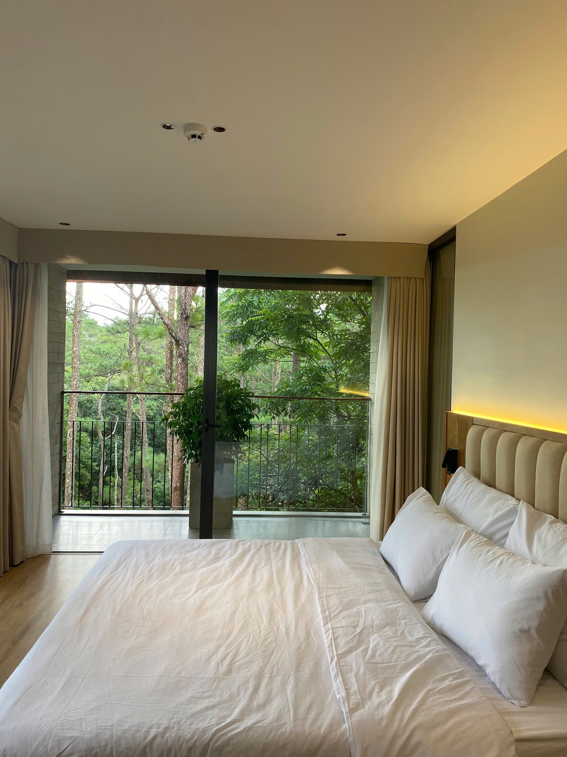 Phòng 306 - Phòng Hướng Rừng Victoria