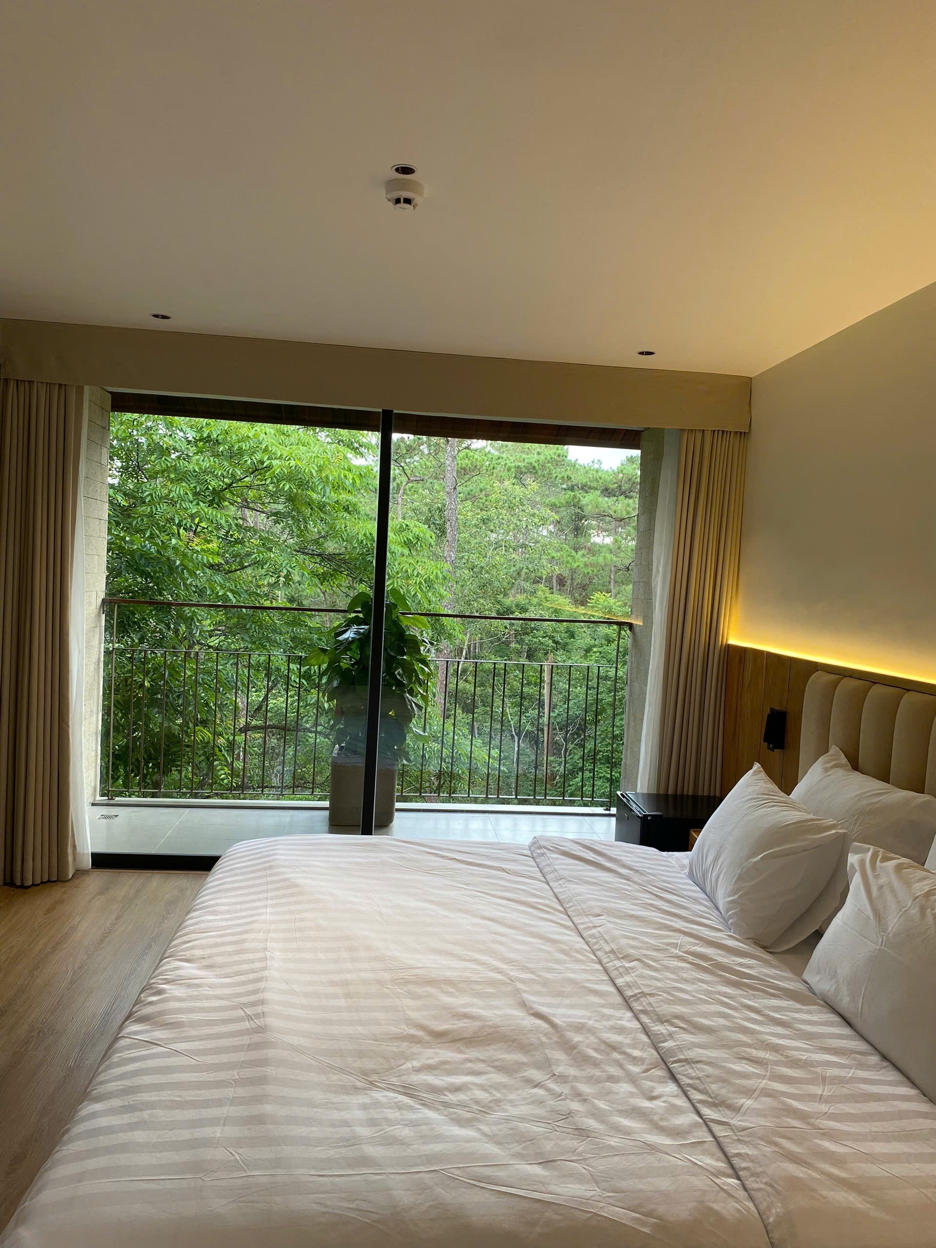 Phòng 307 - Phòng Hướng Rừng Victoria